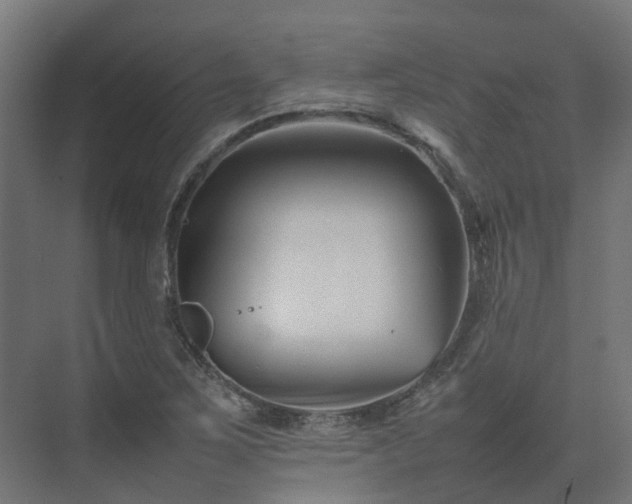 X0000075361267200609151627