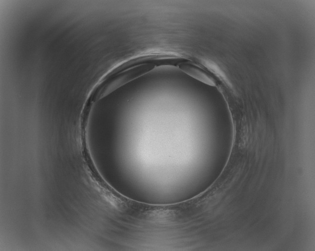 X0000075361268200609151627