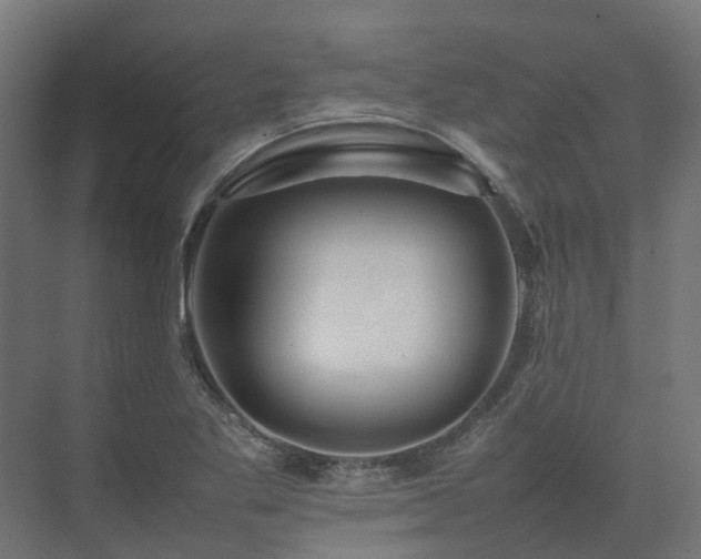 X0000075361269200609151627