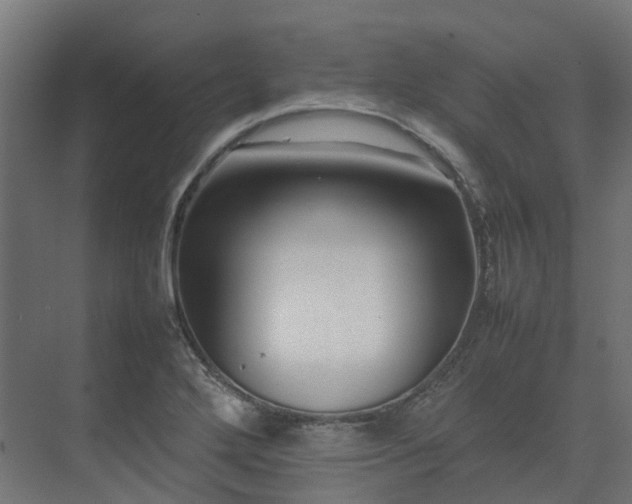 X0000075361272200609151627