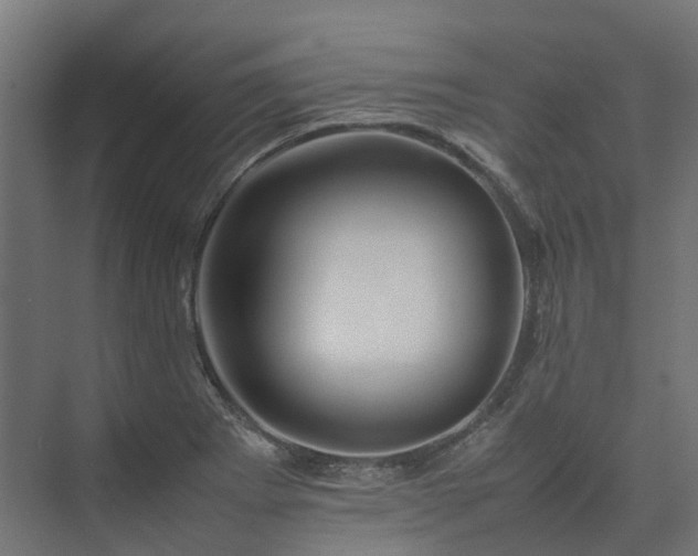 X0000075361273200609151627