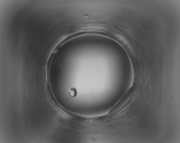 X0000075361275200609151627