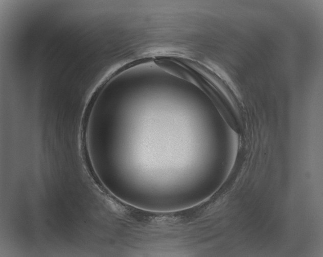 X0000075361277200609151627