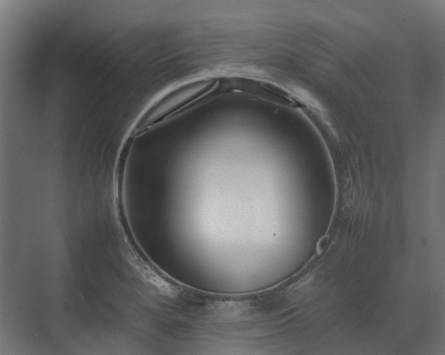 X0000075361280200609151627