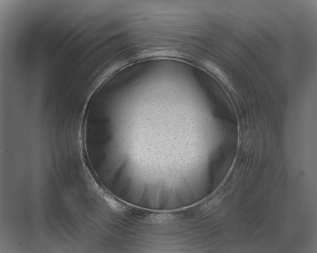 X0000075361282200609151627