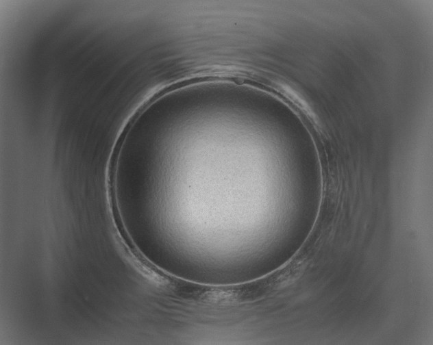 X0000075361283200609151627