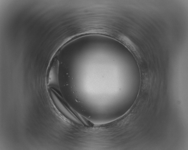 X0000075361284200609151627