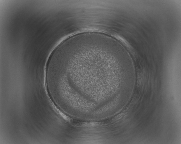 X0000075361286200609151627