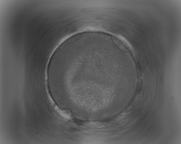 X0000075361287200609151627