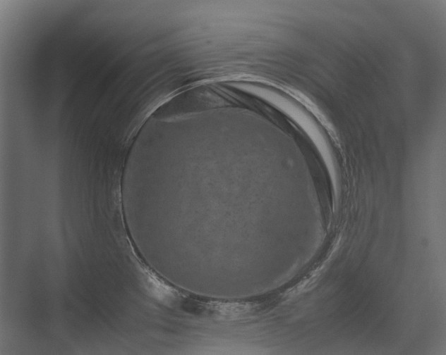 X0000075361289200609151627