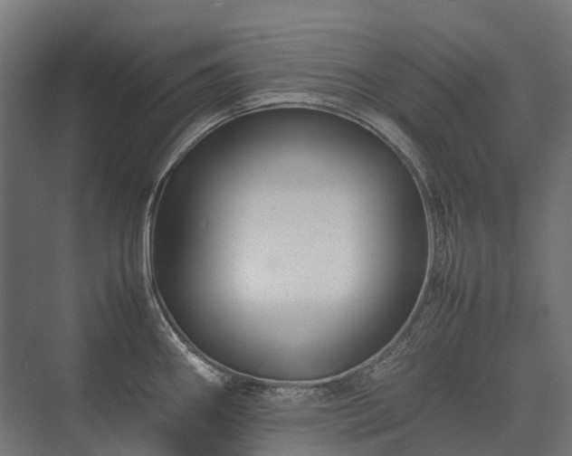 X0000075361290200609151627