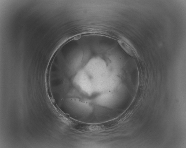 X0000075361291200609151627