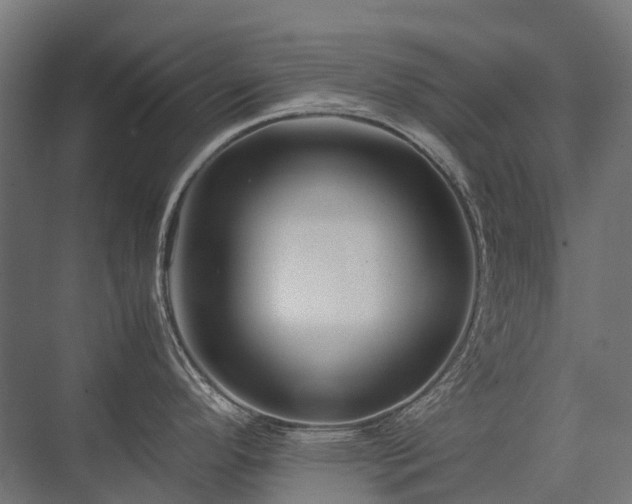 X0000075361296200609151627