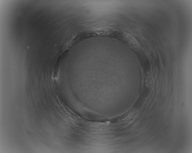 X0000075361298200609151626