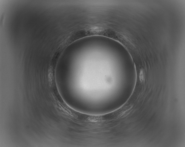 X0000075361299200609151626