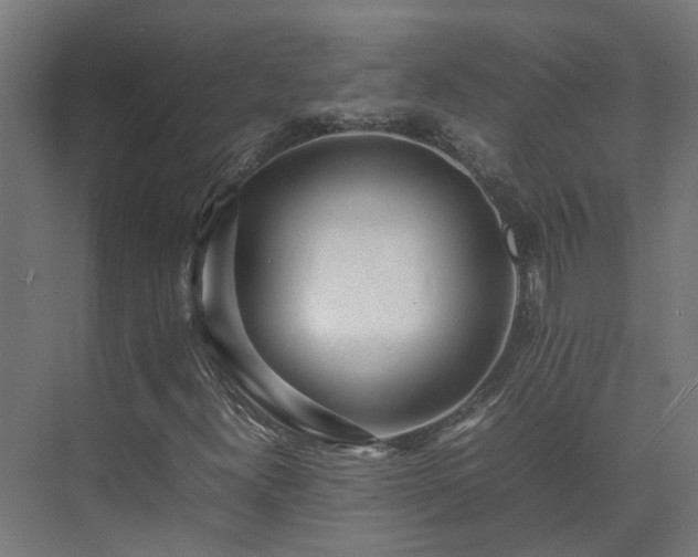 X0000075361300200609151626