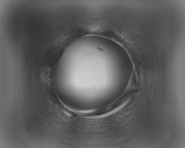 X0000075361301200609151626