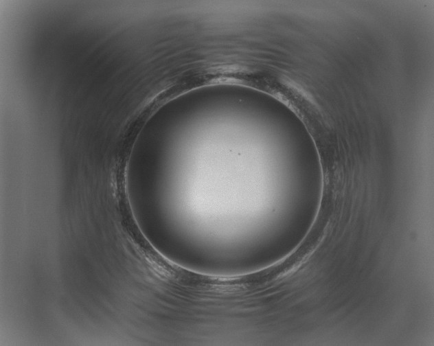 X0000075361305200609151626