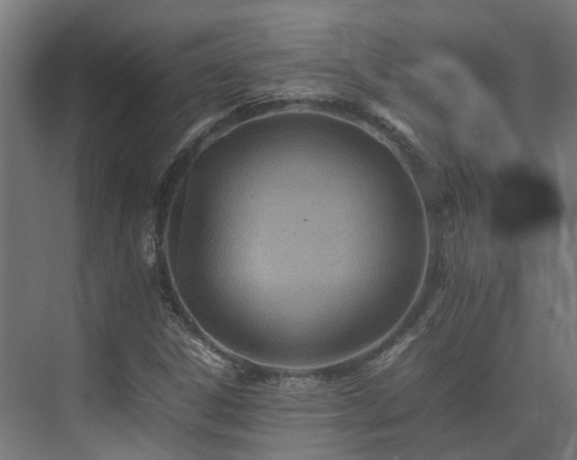 X0000075361306200609151626