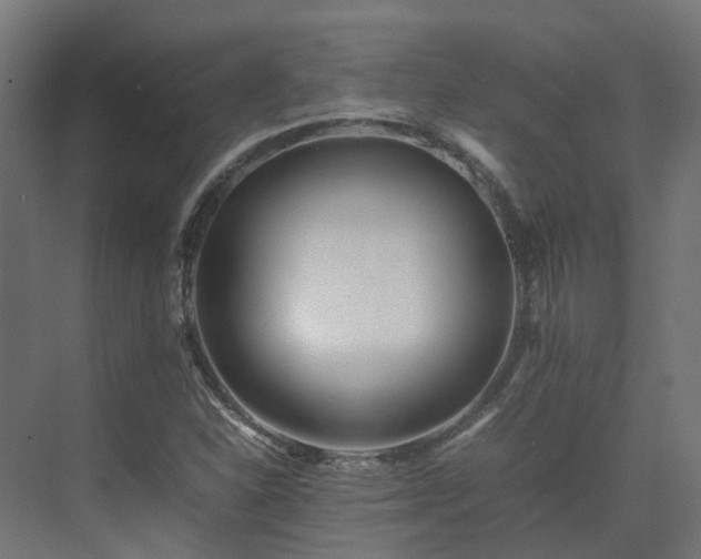 X0000075361310200609151626