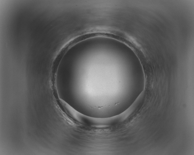 X0000075361312200609151626