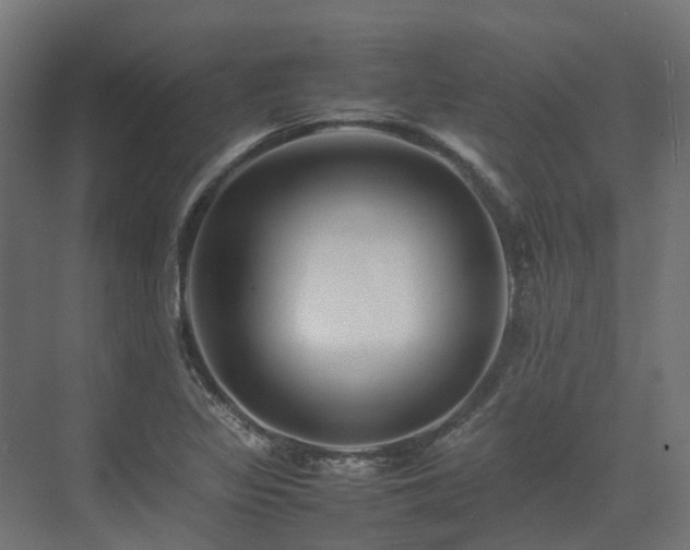 X0000075361317200609151626