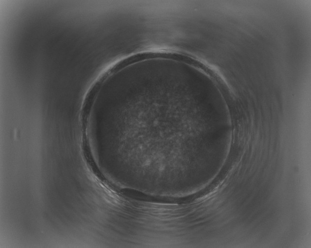 X0000075361319200609151626