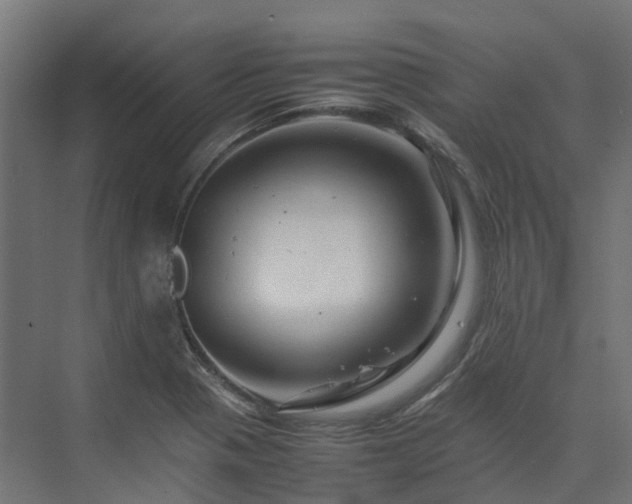 X0000075361321200609151626