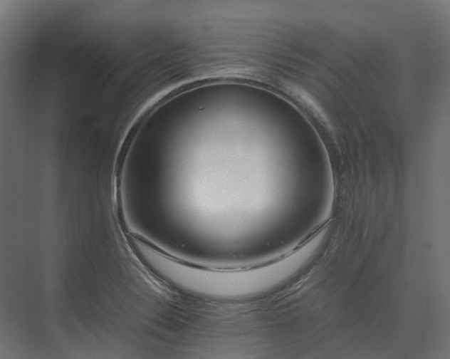 X0000075361324200609151627