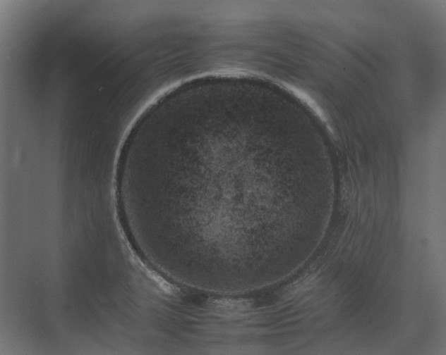 X0000075361327200609151627