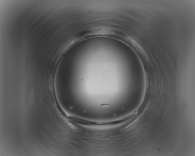 X0000075361329200609151627