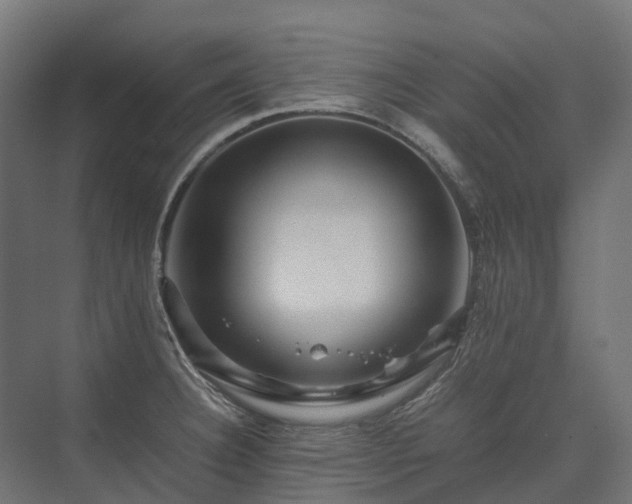 X0000075361332200609151627