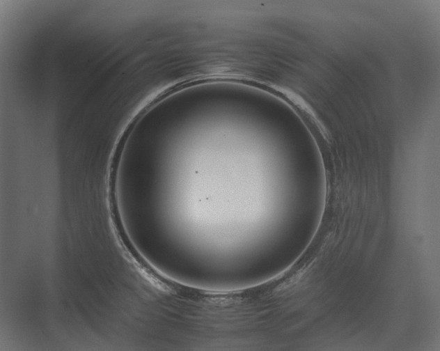 X0000075361333200609151627