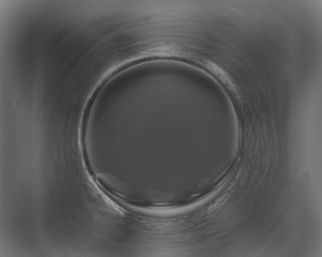 X0000075361334200609151627