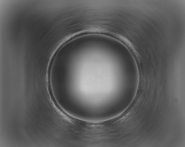 X0000075361335200609151627