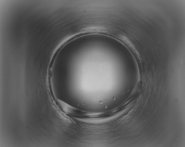 X0000075361336200609151627