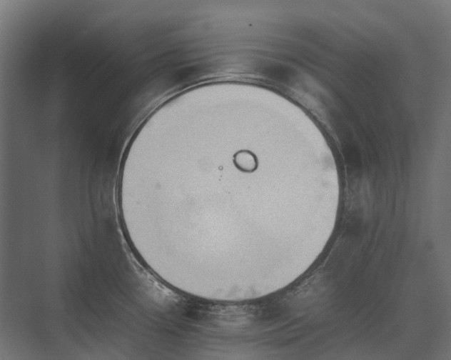 X0000075361338200609151627