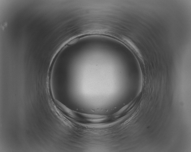 X0000075361340200609151627