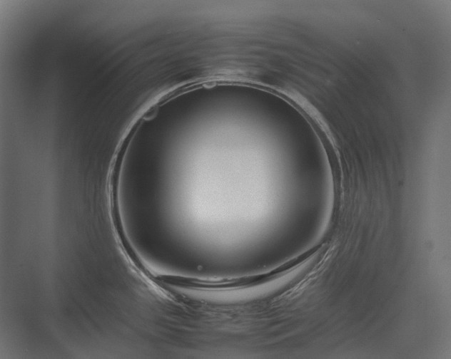 X0000075361341200609151627