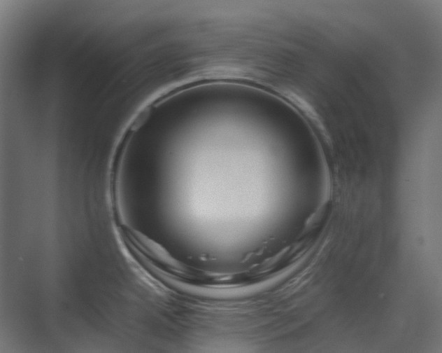 X0000075361342200609151627