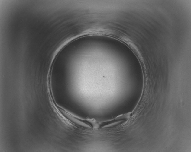 X0000075361344200609151627