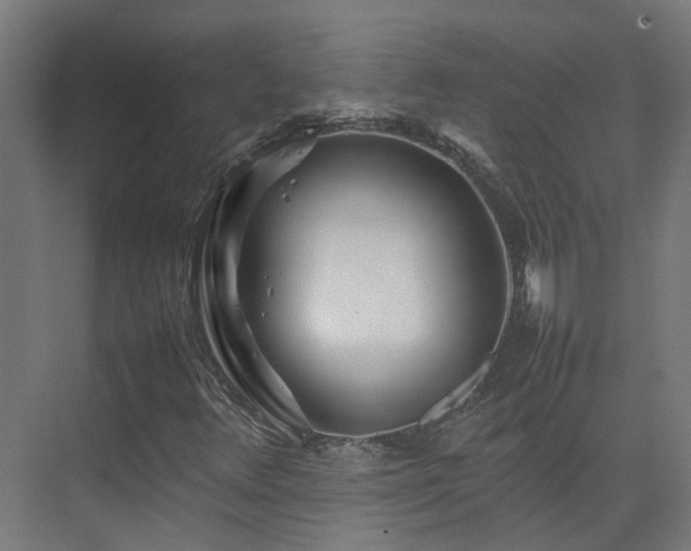 X0000075361348200609151626