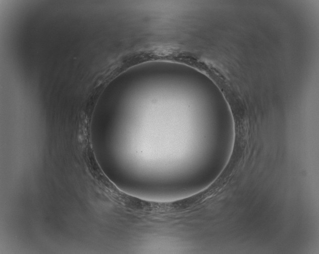 X0000075361349200609151626