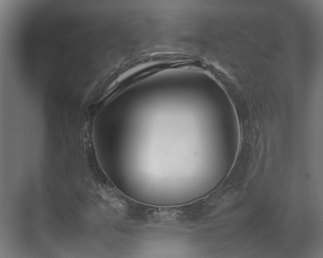 X0000075361351200609151626