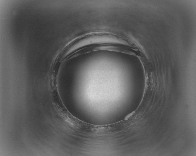 X0000075361352200609151626