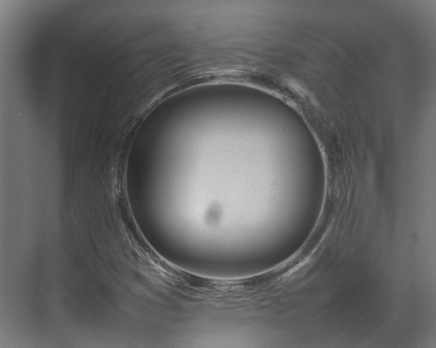 X0000075361353200609151626