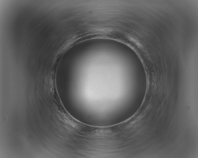 X0000075361354200609151626