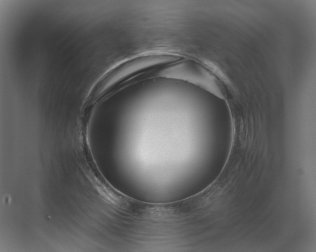 X0000075361356200609151626