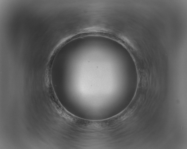 X0000075361358200609151626