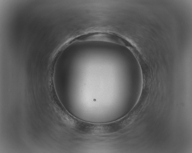 X0000075361359200609151626